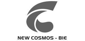 New Cosmos