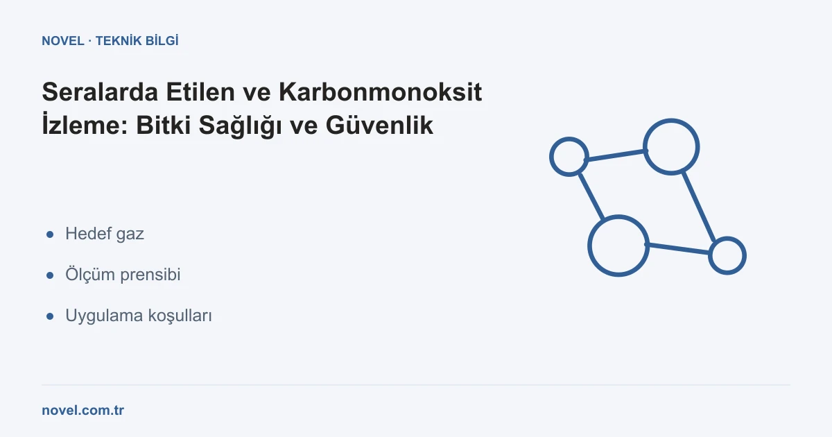 Seralarda Etilen ve Karbonmonoksit İzleme: Bitki Sağlığı ve Güvenlik İçin Sürekli Gaz Takibi